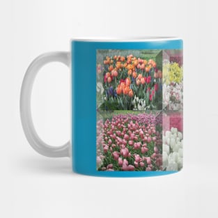 An assortment of tulips framed together Mug